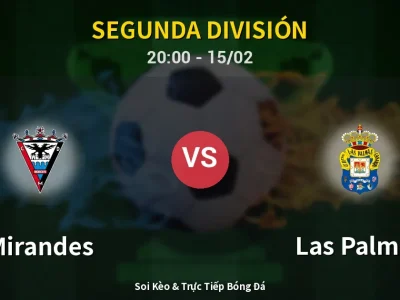 Kết Quả: Mirandes 1-1 Las Palmas – Highlight & Bàn Thắng | Segunda División