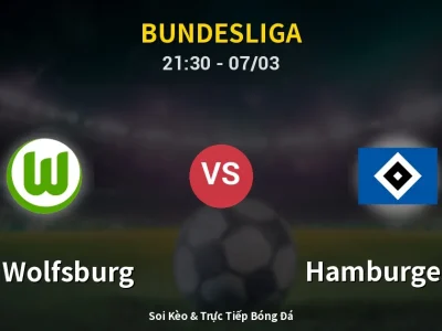 Soi Kèo VfL Wolfsburg vs Hamburger SV – 21:30 07/03 | Nhận Định, Dự Đoán Tỷ Số