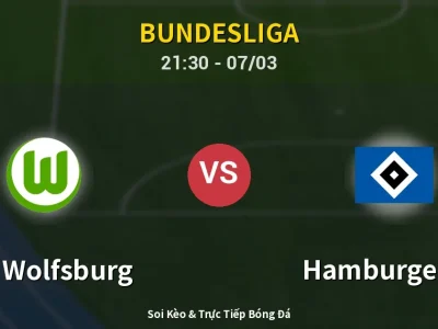 🔴 Trực Tiếp: VfL Wolfsburg 0-0 Hamburger SV – Link Xem Bundesliga (Full HD)