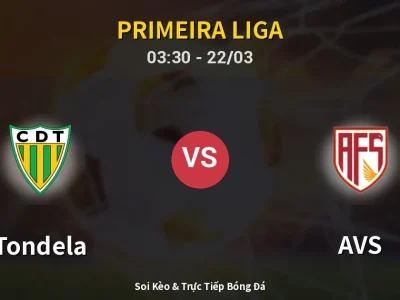 Soi Kèo Tondela vs AVS – 03:30 22/03 | Nhận Định, Dự Đoán Tỷ Số