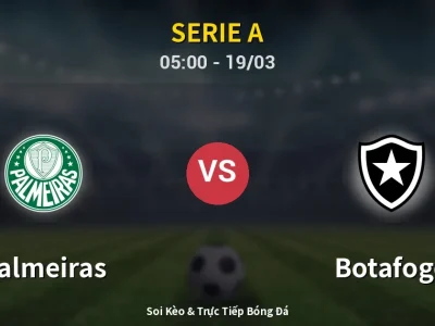 Kết Quả: Palmeiras 2-1 Botafogo – Highlight & Bàn Thắng | Serie A