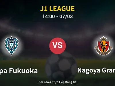 Soi Kèo Avispa Fukuoka vs Nagoya Grampus – 14:00 07/03 | Nhận Định, Dự Đoán Tỷ Số