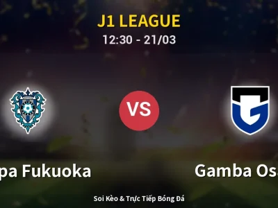 Kết Quả: Avispa Fukuoka 2-2 Gamba Osaka – Highlight & Bàn Thắng | J1 League