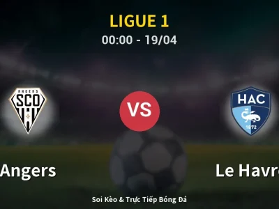 Kết Quả: Angers 1-1 Le Havre – Highlight & Bàn Thắng | Ligue 1
