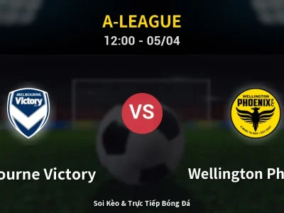 🔴 Trực Tiếp: Melbourne Victory 0-0 Wellington Phoenix – Link Xem A-League (Full HD)