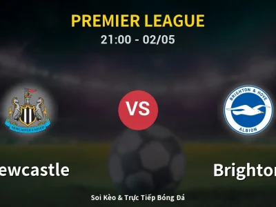 Soi Kèo Newcastle vs Brighton – 21:00 02/05 | Nhận Định, Dự Đoán Tỷ Số