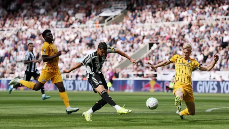 Video Highlight Newcastle United vs Brighton 21:00 ngày 02/05/2026