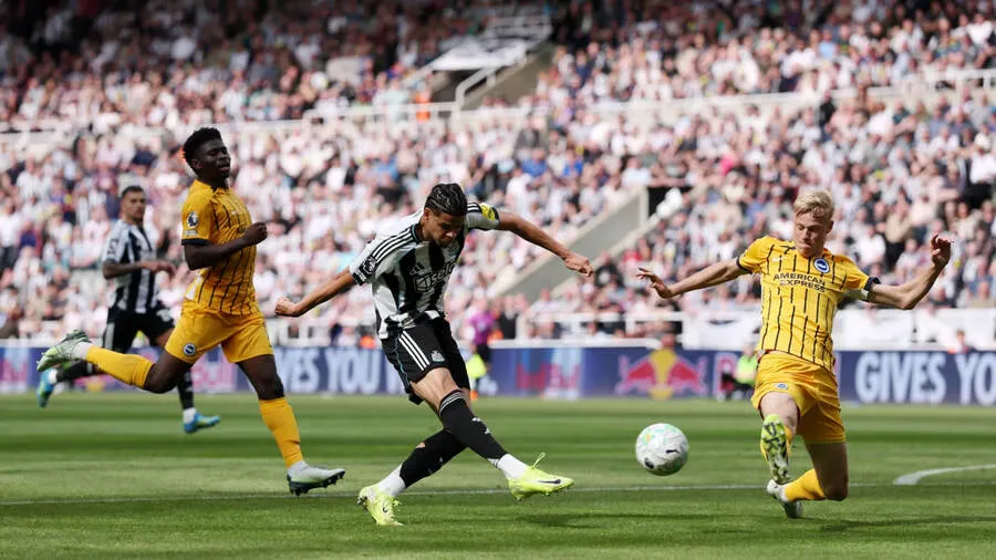 Video Highlight Newcastle United vs Brighton 21:00 ngày 02/05/2026